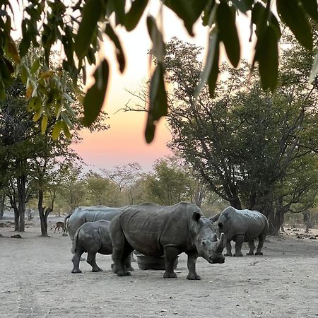 Appartamento Sukulu Reserve Livingstone Esterno foto