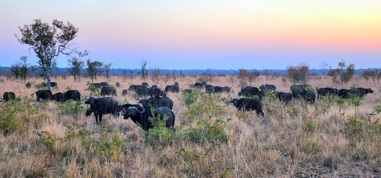 Appartamento Sukulu Reserve Livingstone Esterno foto