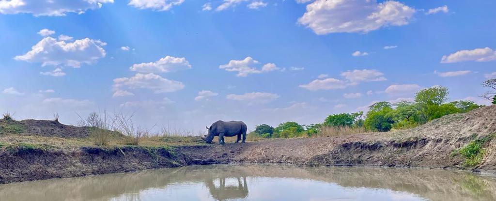 Appartamento Sukulu Reserve Livingstone Esterno foto