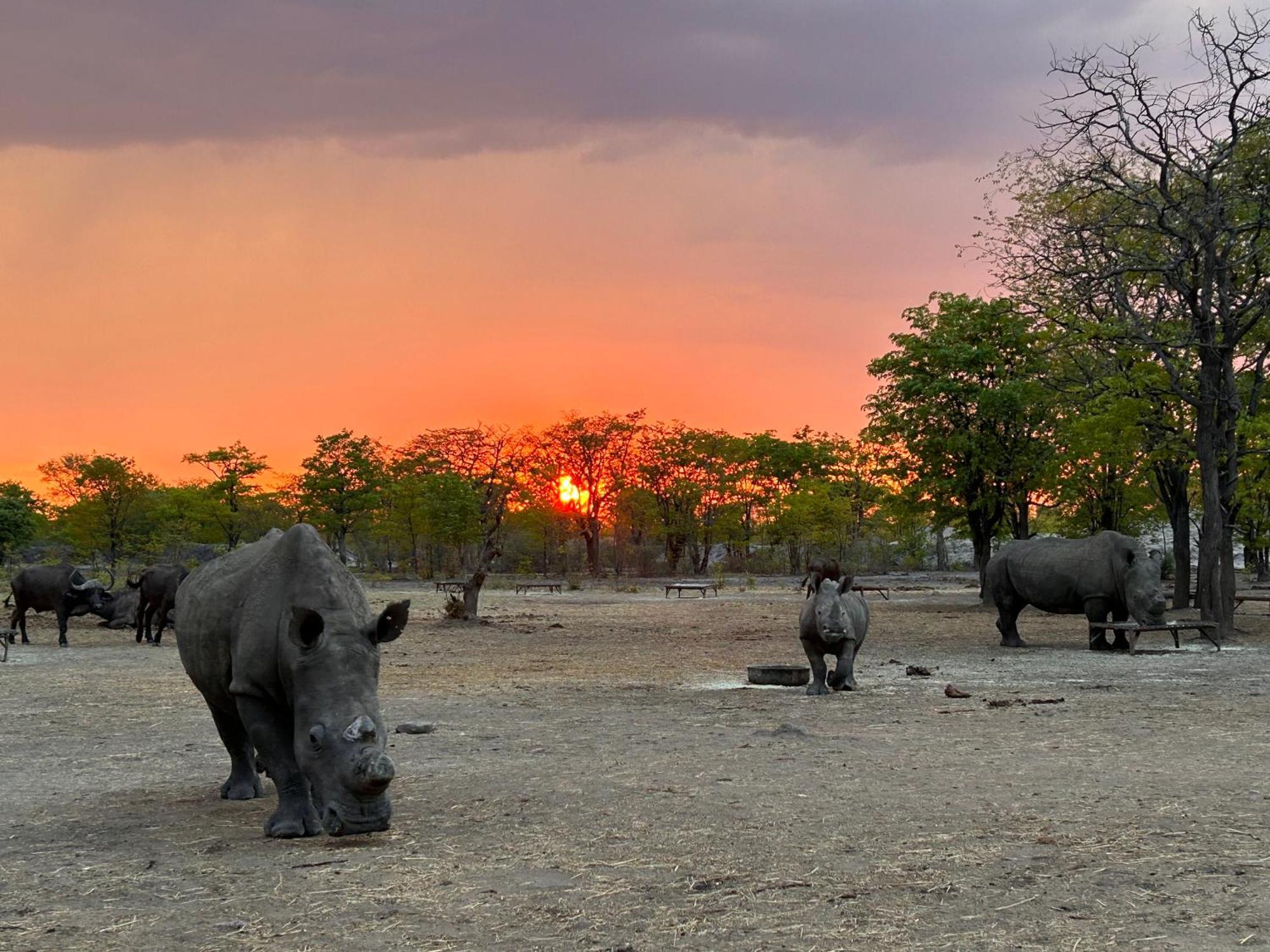 Appartamento Sukulu Reserve Livingstone Esterno foto